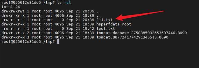 image-20250922043951704