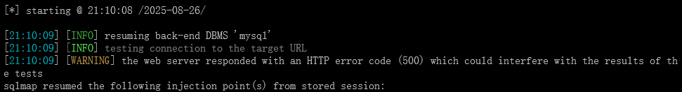 image-20250826211038373