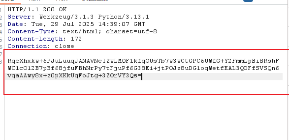 image-20250729223928278